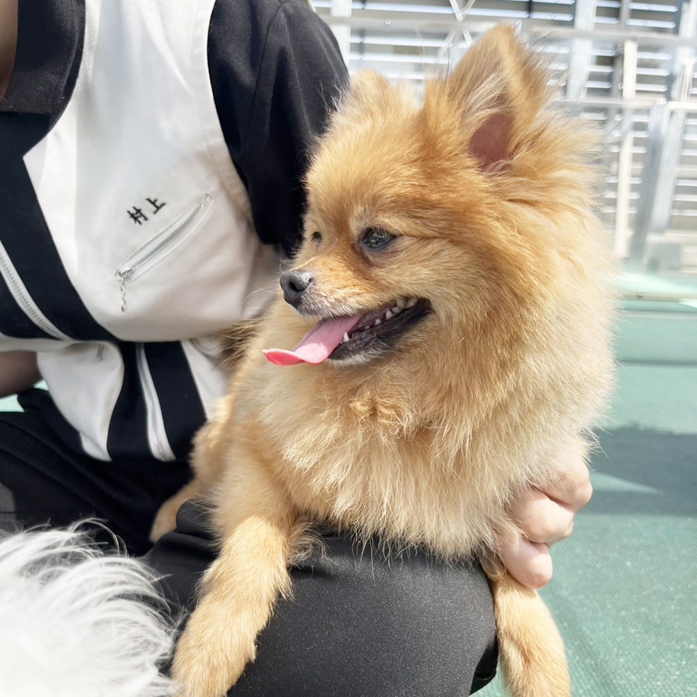 生徒が撮影したモデル犬写真♪②